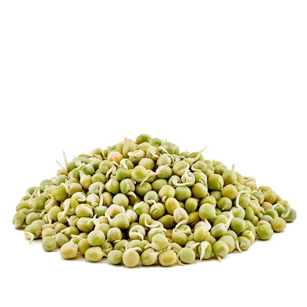 	Organic Sprouted Pea Beans